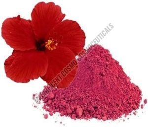 Hibiscus Powder, For Cosmetic, Health, Style : Dried