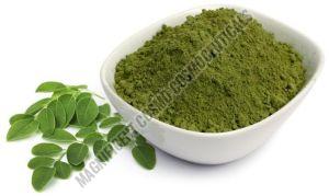 Green Organic Moringa Powder, For Medicines Products, Cosmetics, Style : Dried