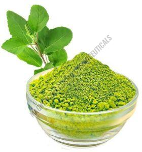 Organic Tulsi Leaves Powder