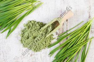 Wheat Grass Powder, Form : Form