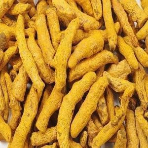 A Grade Organic Turmeric Finger