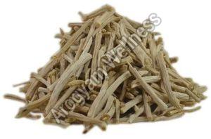 Organic Shatavari Root
