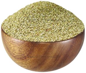 Browntop Millet