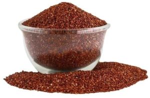 Finger Millet (Ragi)