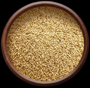 Foxtail Millet, Packaging Type : Plastic Bag, Jute Bag