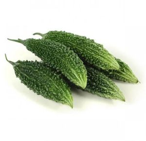 Fresh Bitter Gourd, Color : Green For Cooking, Restaurant