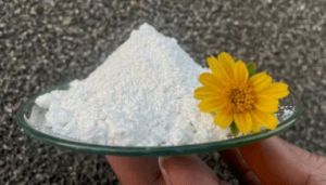 Calcined Kaolin Clay, Color : White, Form : Powder