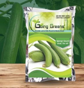 Hybrid Sponge Gourd Seeds