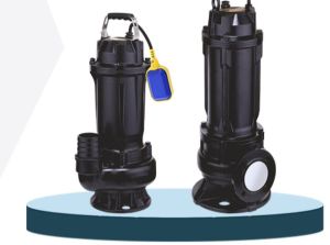 Sewage Pumps