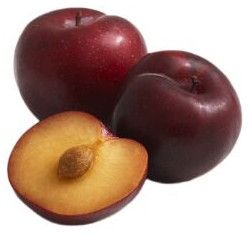 Plum, Color : Purple, Taste : Sweet Juicy