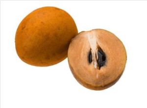 Sapota Chikoo, Shape : Oval, Variety : Multiple Varieties