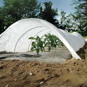 SS UV Treated Nonwoven Fabric