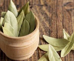 Indian Bay Leaves, Packaging Type : Plastic Bag, Glass Jars