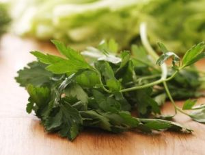 Parsley Leaves, Packaging Type : Plastic Bag