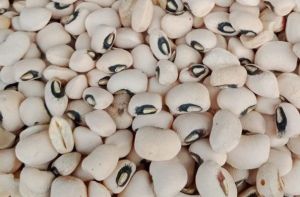 Black Eye Beans, Packaging Type : Bulk, Bags