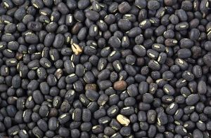 Black Matpe Beans