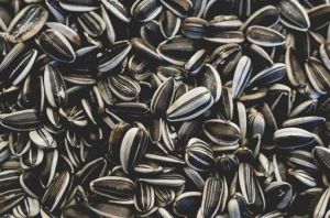 Sunflower Seeds, Packaging Type : Usually In Packets Or Bags