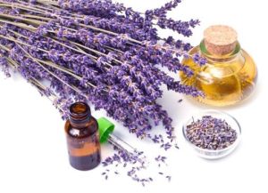 Organic Lavandin Oil, Packaging Type : Glass Bottle