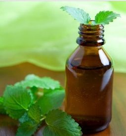 Organic Mint Oil