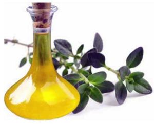 Organic Thyme Oil