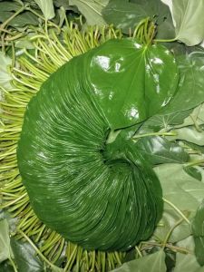 Natural Sweet Betel Leaf, Color : Green