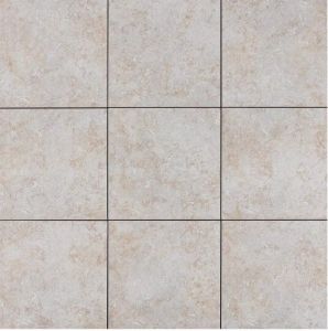 1ft X 1 Ft Ceramic Vitrified Anti-skid Floor Tiles