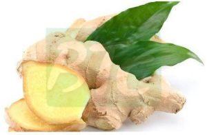 Fresh Natural Ginger, For Cooking, Color : Light Brown