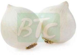 Fresh White Onion, Shape : Oval, Round