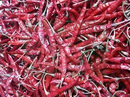 Teja Dried Red Chilli, Length : 6 to 9 cm, Moisture : 10-15%