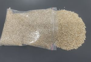 Food Grade Maruti White Common Sesame Seeds, Packaging Size : 50kg