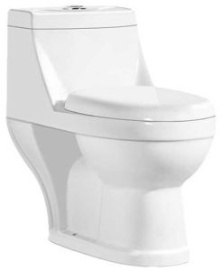 cs2101 Western Commode