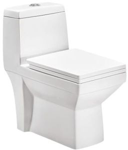 cs2107 Western Commode