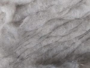 Cotton Dropping Waste