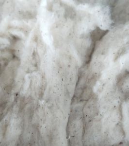 Plain Flat Strips Cotton Waste, Color : White, Technics : Woven