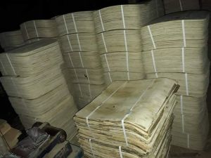 Ply Chair Seats
