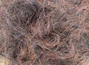 Insulated Copper Cable Scrap