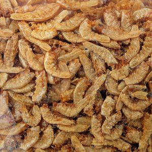Dried Prawns, Packaging Type : Packet
