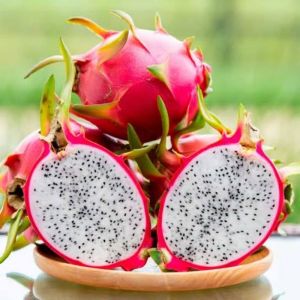 Fresh Dragon Fruit, Taste : Sweet Refreshing