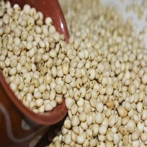 Sorghum Millet Seeds, Grade Standard : Food Grade for Cooking, Baking