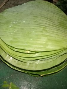Round Banana Leaf