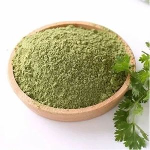 Green Dehydrated Coriander Leaf Powder for Cooking, Food, Spices