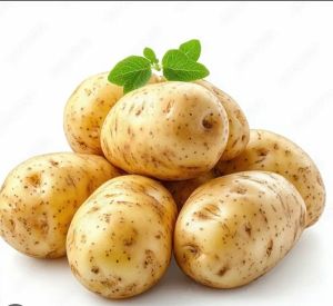 Fresh Brown Potato, Cultivation Type : Organic Gunny Bag