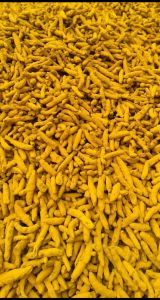 turmeric finger