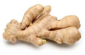 Aromatic Fresh Raw Ginger
