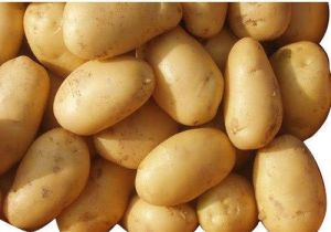 Farm Fresh Brown Potato