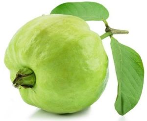 Fresh A Grade Guava