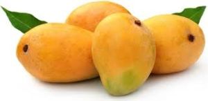 Fresh Juicy Alphonso Mango, Color : Golden Yellow