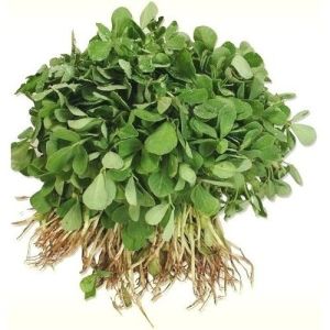 Fresh Leafy Methi Palak, Packaging Size : 5Kg, 10Kg Neatly Packed