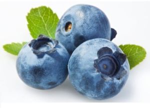 Natural Fresh Blueberry