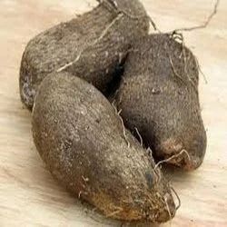 Nutritious Fresh Senai Root